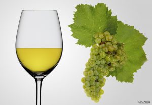 Giống nho trắng Chardonnay