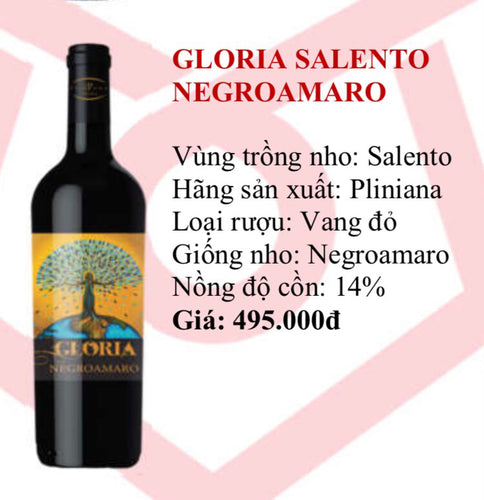 Rượu Vang Đỏ Gloria Salento Negroamaro